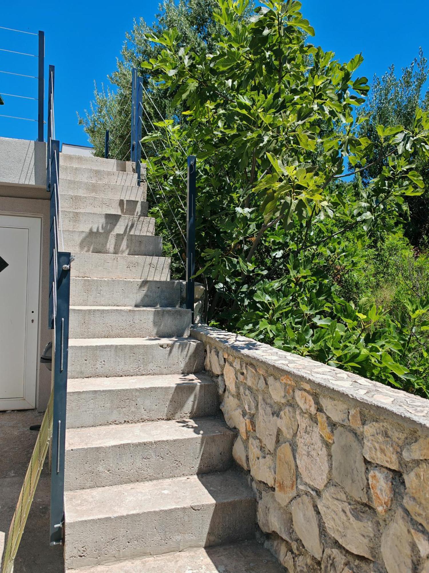 Olive Tree Apartment Zecevo โรกอซนิซา ภายนอก รูปภาพ